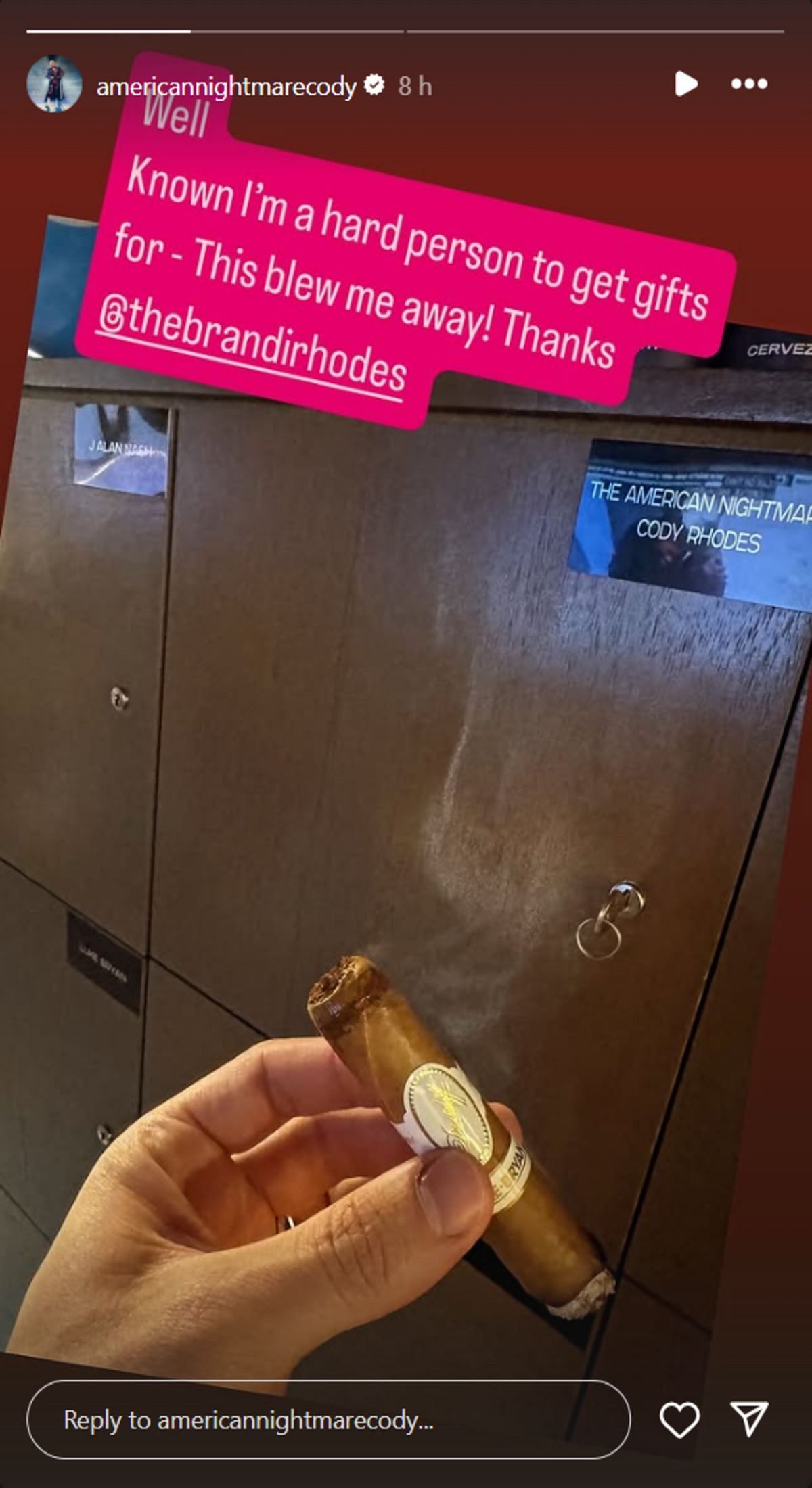 Cody Rhodes thanks his wife for the birthday gift (Image credits: Star's Instagram Story)